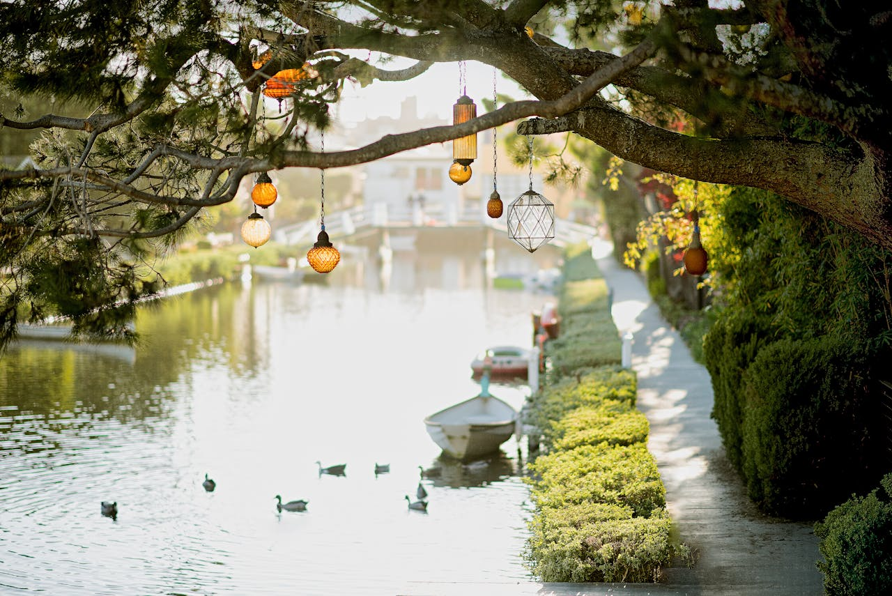About Peaceful waterway with ducks and decorative lanterns on a tree branch.